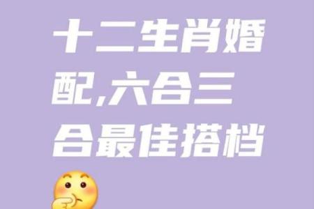 爱情长久的生肖配对