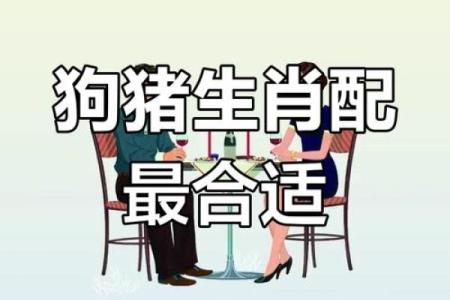 狗跟什么生肖配对最好 生肖狗最佳配对