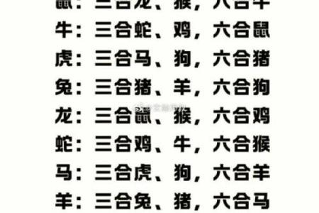 牛属与哪些生肖最佳配对