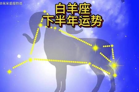 五月星座运势情感白羊