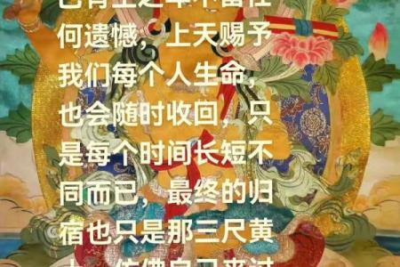 八字带天命的人 带天命的人压不住