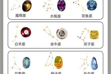 十二星座代表的守护花都有哪些呢