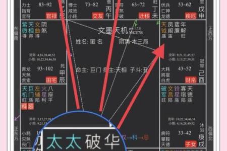 紫微斗数诸星落诸宫之：巨门星奴仆宫详解