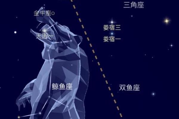 起来最亮的行星是哪个星座