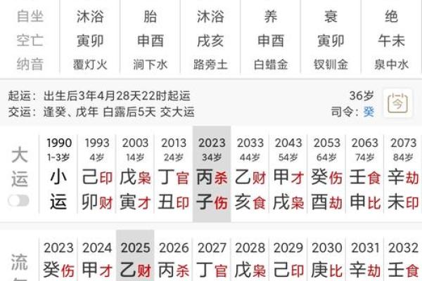 丁亥日八字命运如何查询