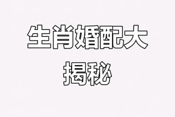 注定成为敌人的属相配对