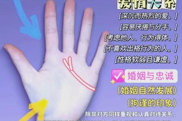 《手相学习百科》：感情线