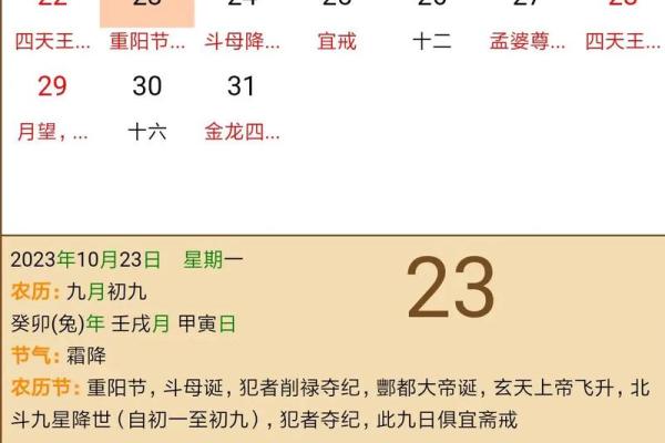 九月九日重阳节是什么节日 重阳节是什么节日代表什么