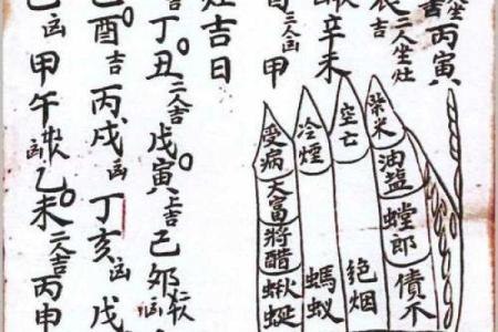 书的风水_风水知识地理纳挂书诀