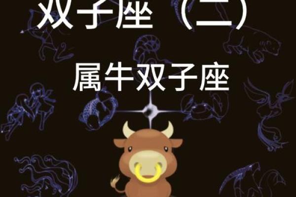 牛年生肖算命揭秘你的命运