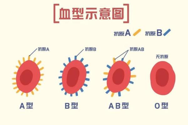 四大血型你该学习的地方