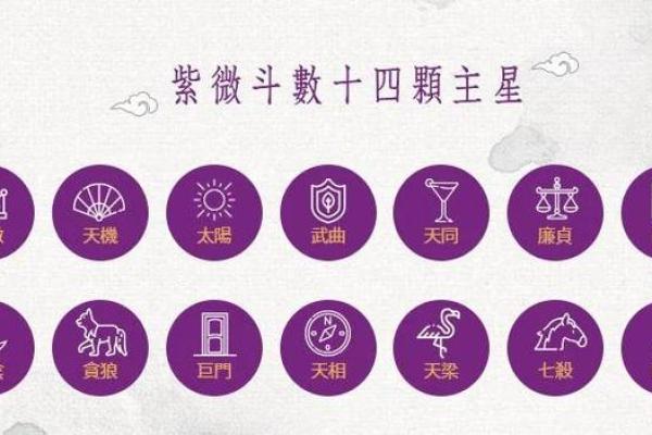 紫薇斗数星大全