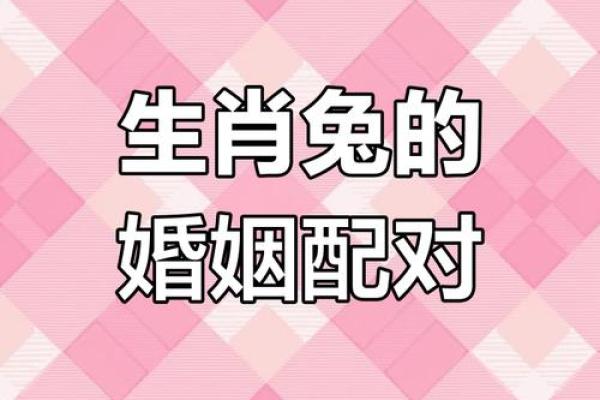 生肖配对属龙属兔的婚姻怎么样