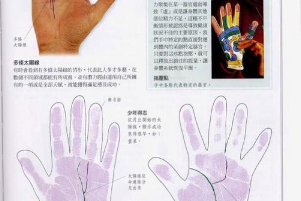 《手相学习百科》：手纹看旅游和迁徙