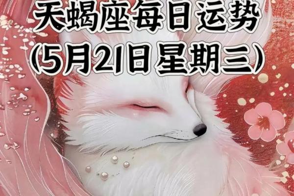 星座屋今日运势天蝎座
