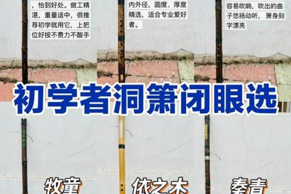 箫在风水的作用