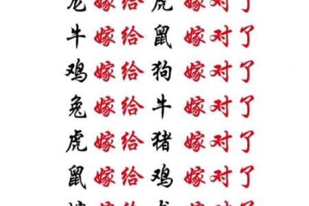 合八字属鸡和属猪的适合做夫妻吗