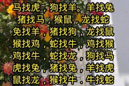 属相婚配十二生肖配对图表，属相婚配十二生肖配对图表图片？