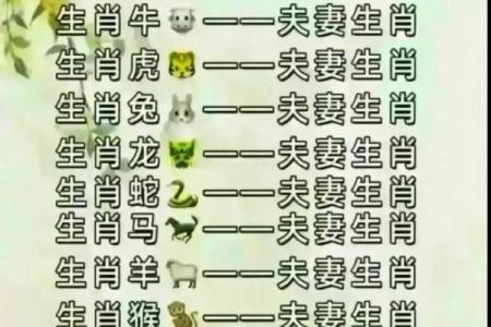 婚姻属相配对大全很准