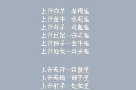 12星座最适合做什么家务