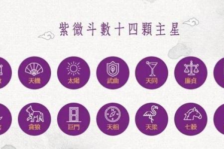 紫薇斗数星大全