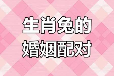 生肖配对属龙属兔的婚姻怎么样