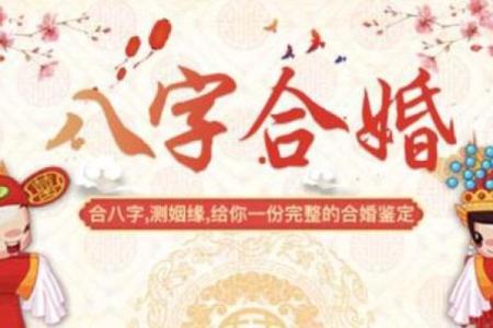 87兔和92猴的八字合不合