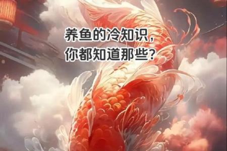 家里养鱼也有风水讲究这么一说