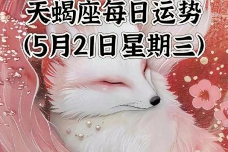 星座屋今日运势天蝎座