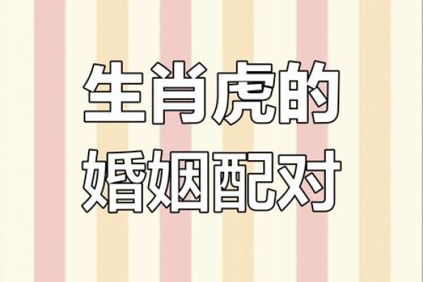 1998女虎婚姻配对 与属马相处融洽生活幸福