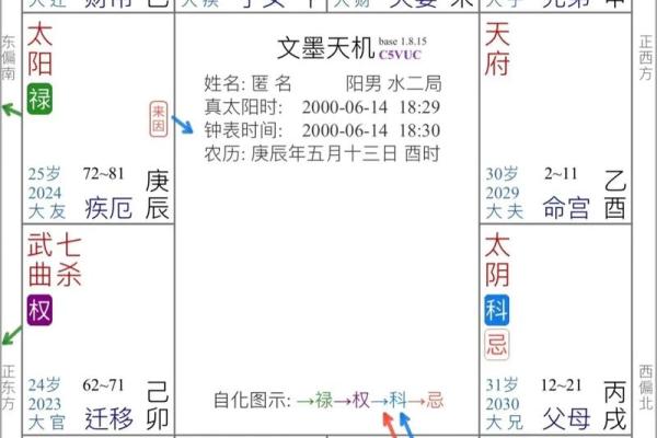 紫薇斗数全集九星