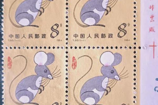 1991年属什么生肖配对