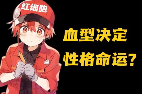 哪种血型的人最多 哪种血型人数最多