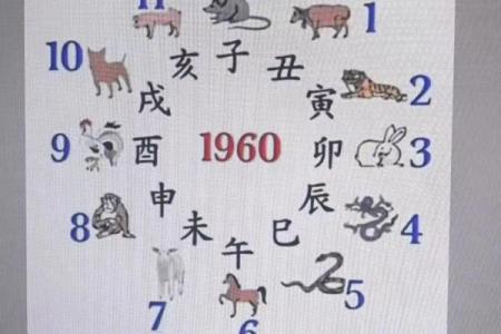 风水学八字纯阳的女命运势怎么样