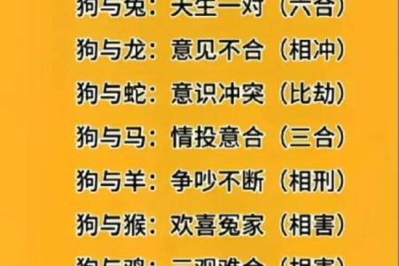 生肖属兔和属狗的合不合 相合配对指数