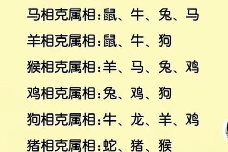 属相配对父子相冲