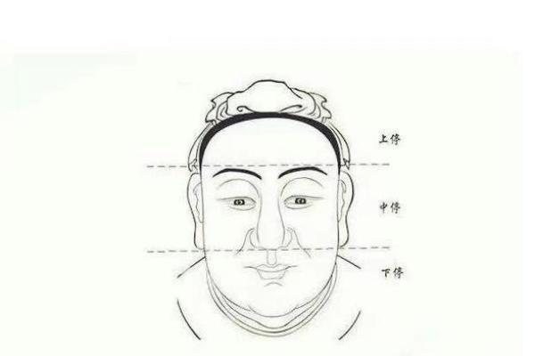 面相算命入门什么是三停 面相基础知识