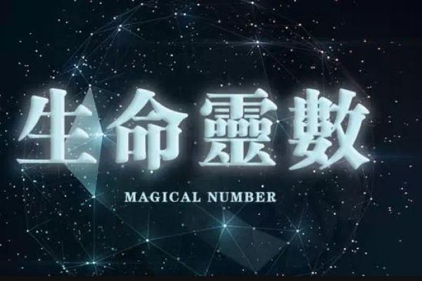 生命灵数5和几配对