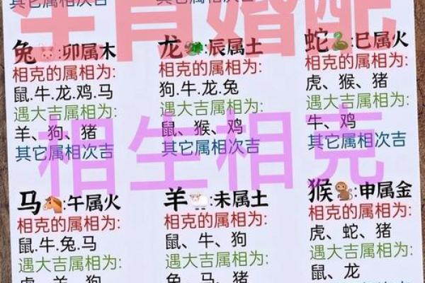 属鼠人姻缘配对 属鼠的人姻缘怎么样？