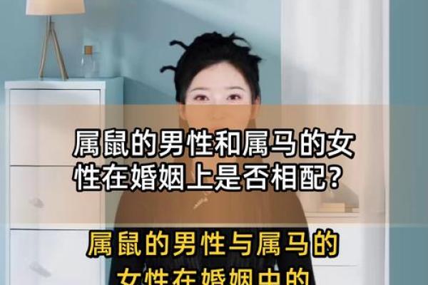 属鼠人姻缘配对 属鼠的人姻缘怎么样？