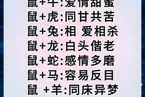 肖鼠者不同血型有哪些优势