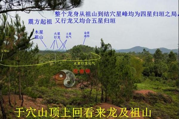 后辈出贵人祖坟风水：贵子之地