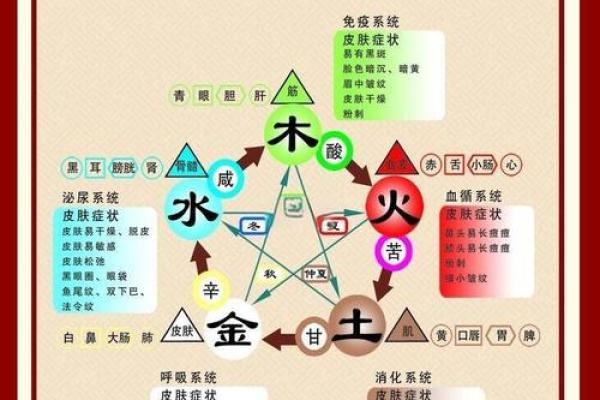 商业：办公养花风水与五行八卦