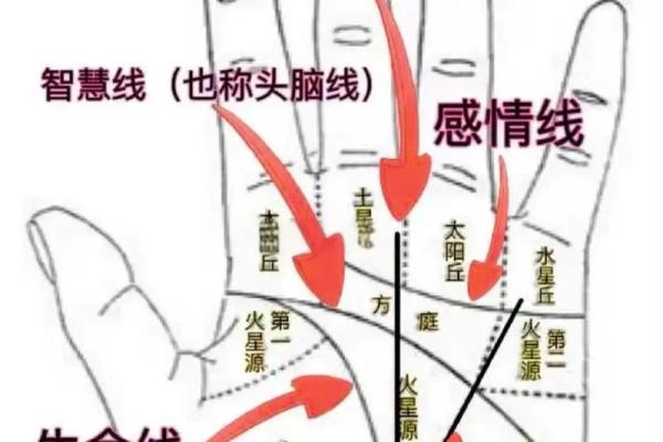《手相学习百科》：双手之间的差异