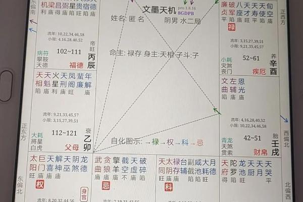疾厄宫紫薇天相火星