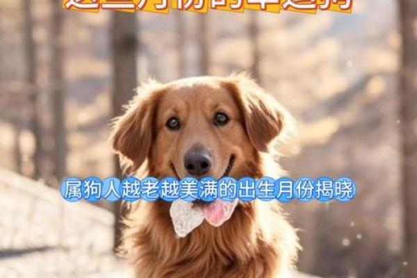 属狗出生最好六个吉日,属狗什么日子出生最好