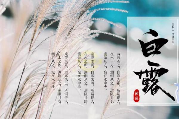 白露节气的含义是什么 白露时节有什么民俗活动