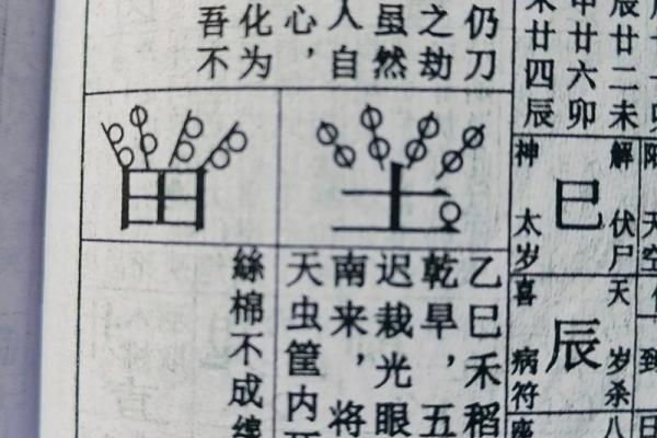 民间老黄历、万年历，术语解释