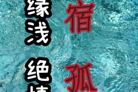 孤辰 寡宿坐命会活成寡人吗？【紫微斗数】【心婷解惑】