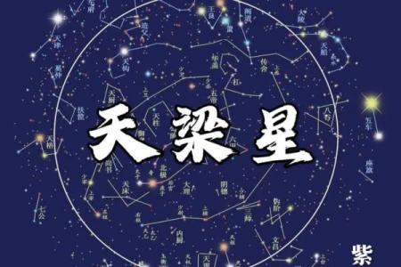 紫薇斗数如何看智力